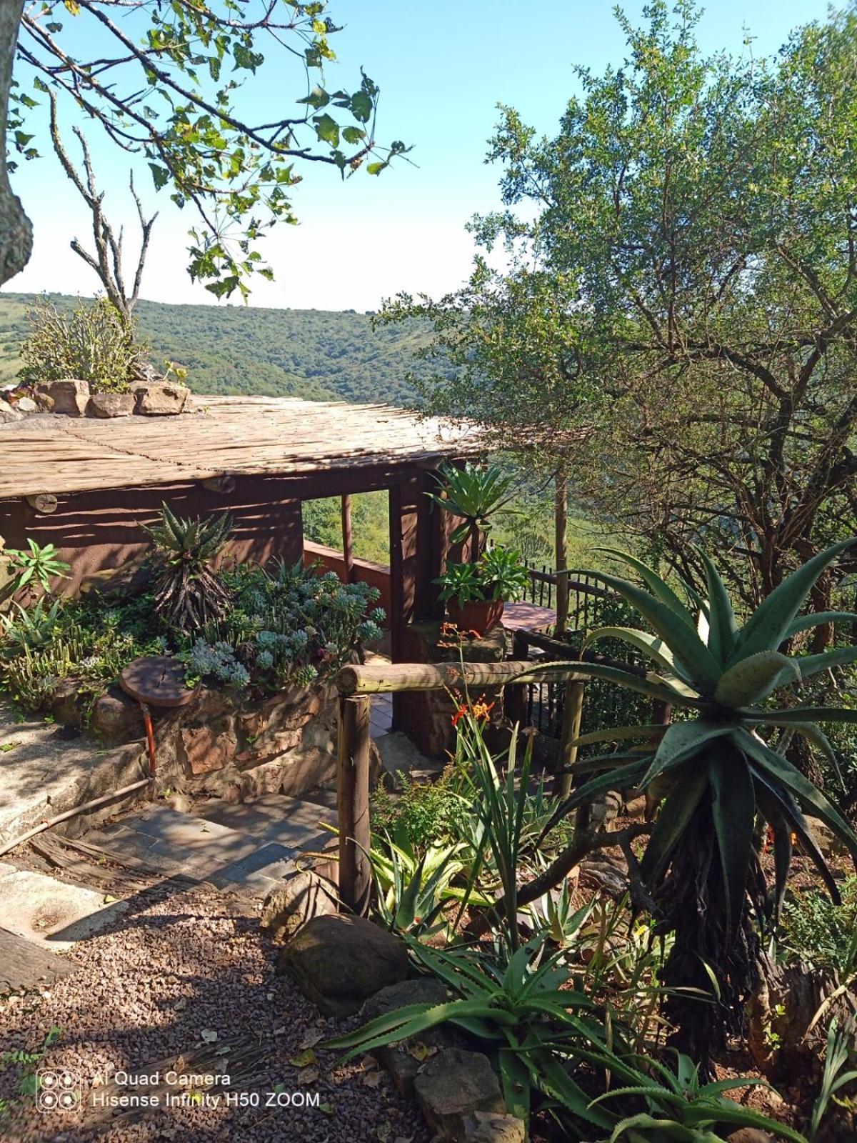 Leopards And Louries Bush Lodge Camperdown Exterior photo